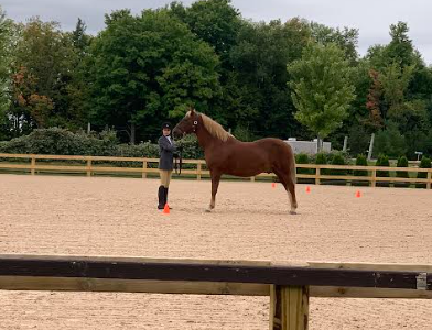 Fiebing with her horse, Moonstar, during English Showmanship during Regionals on Oct. 2. 