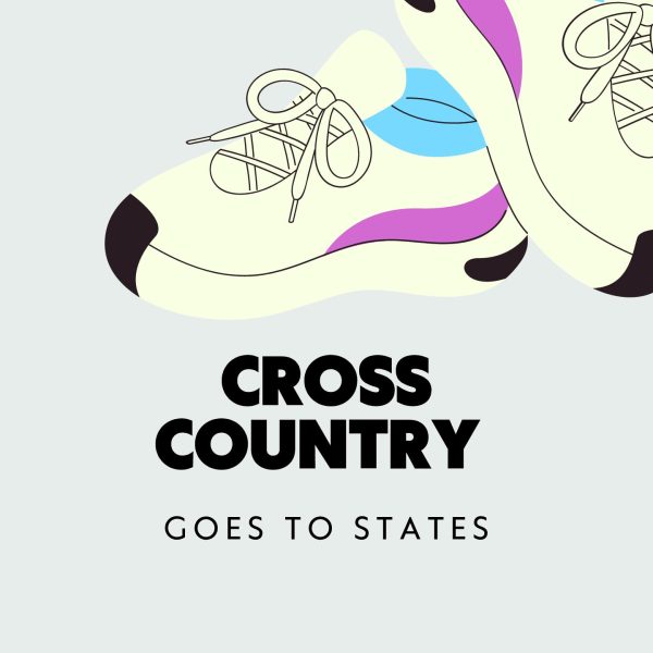 Cross Country Reflects on States